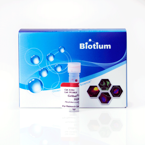 Gelred Nucleic Acid Gel Stain Bio Station Limited